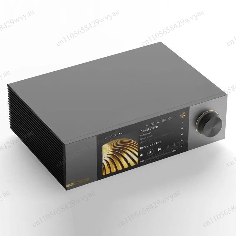 Pemutar Musik Jaringan Hi-Fi D - Dac Streamer Network Player ulasan dan harga