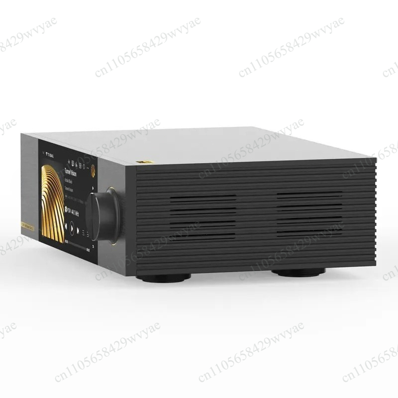 Pemutar Musik Jaringan Hi-Fi D - Dac Streamer Network Player ulasan dan harga