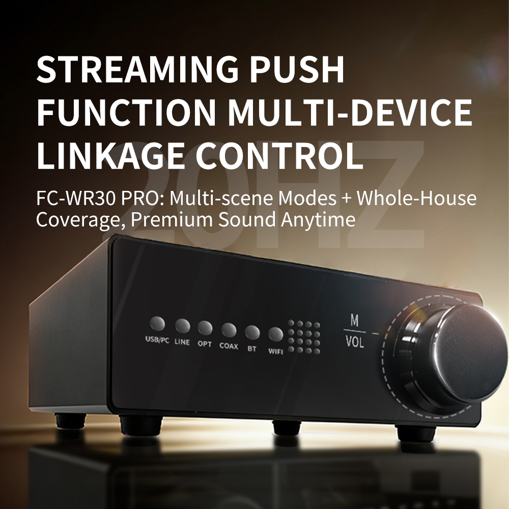 WR30 PRO, Pemutar Musik Nirkab - Dac Streamer Network Player ulasan dan harga
